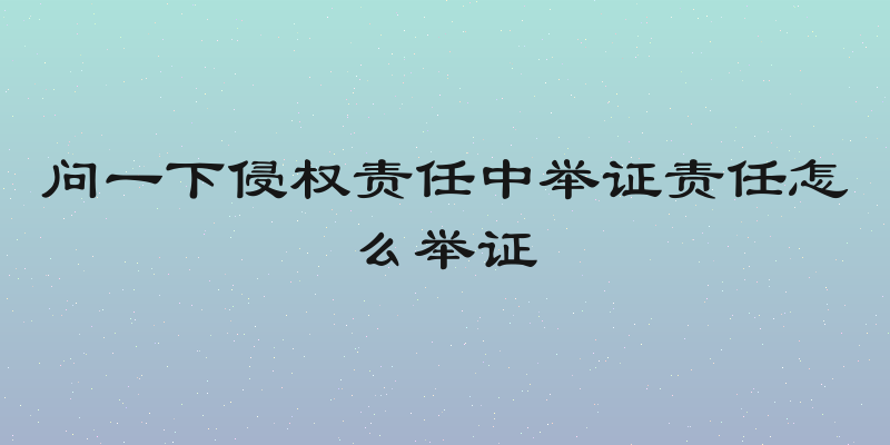 问一下侵权责任中举证责任怎么举证