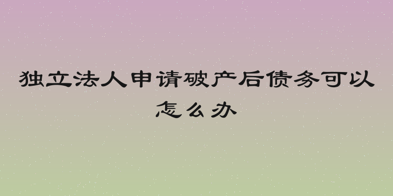 独立法人申请破产后债务可以怎么办