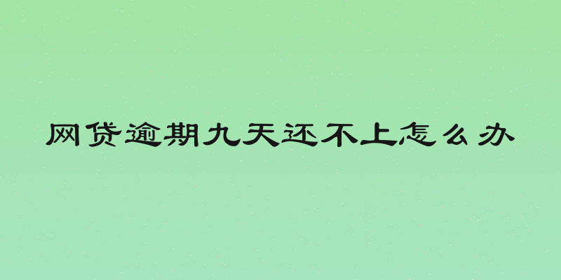 网贷逾期九天还不上怎么办