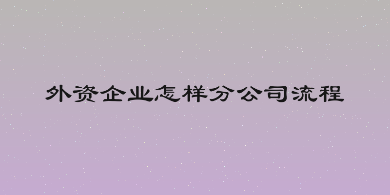 外资企业怎样分公司流程