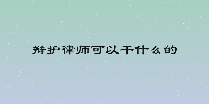 辩护律师可以干什么的