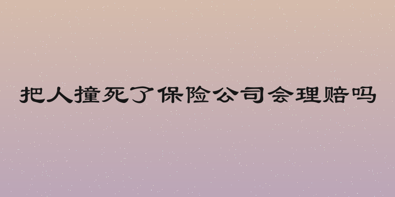 把人撞死了保险公司会理赔吗