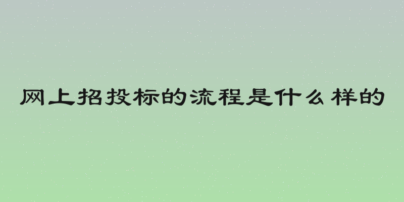 网上招投标的流程是什么样的