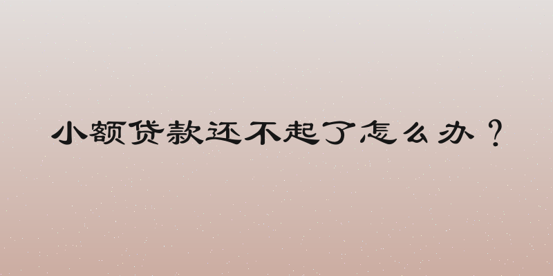 小额贷款还不起了怎么办？