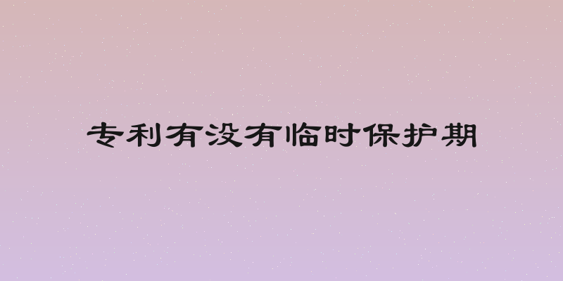 专利有没有临时保护期