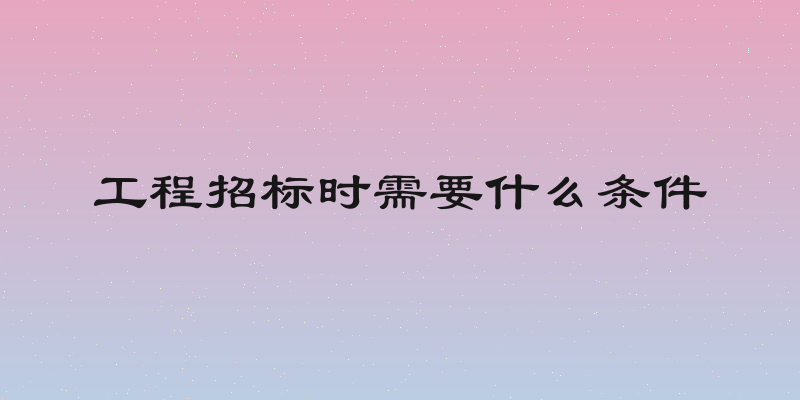 工程招标时需要什么条件