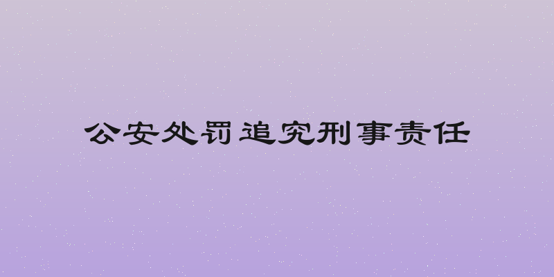 公安处罚追究刑事责任