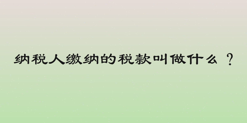 纳税人缴纳的税款叫做什么？