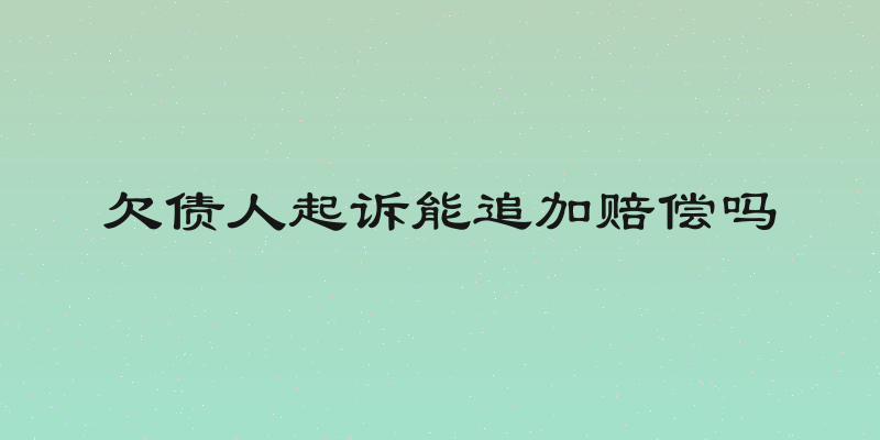 欠债人起诉能追加赔偿吗