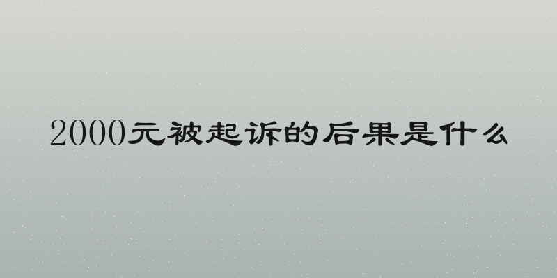 2000元被起诉的后果是什么