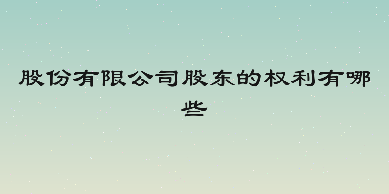 股份有限公司股东的权利有哪些