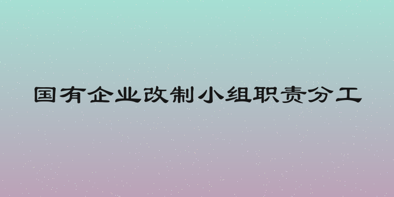 国有企业改制小组职责分工