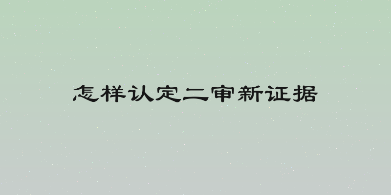 怎样认定二审新证据