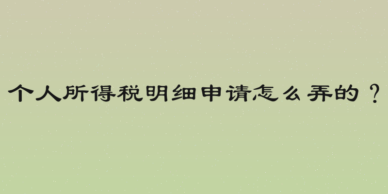 个人所得税明细申请怎么弄的？