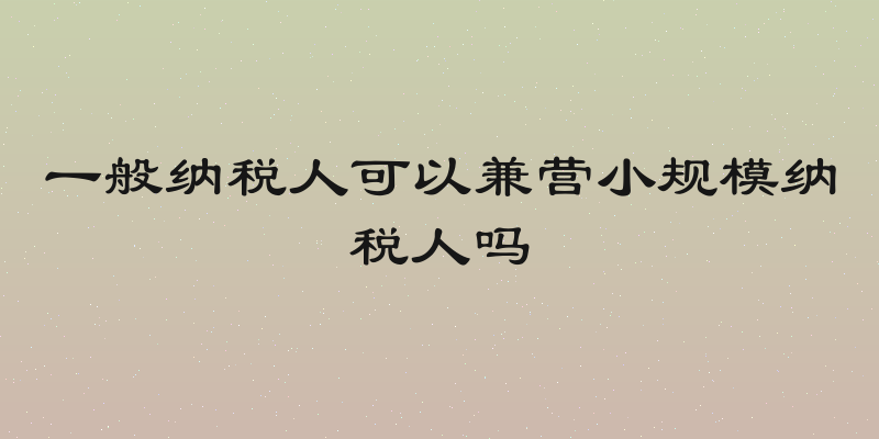 一般纳税人可以兼营小规模纳税人吗