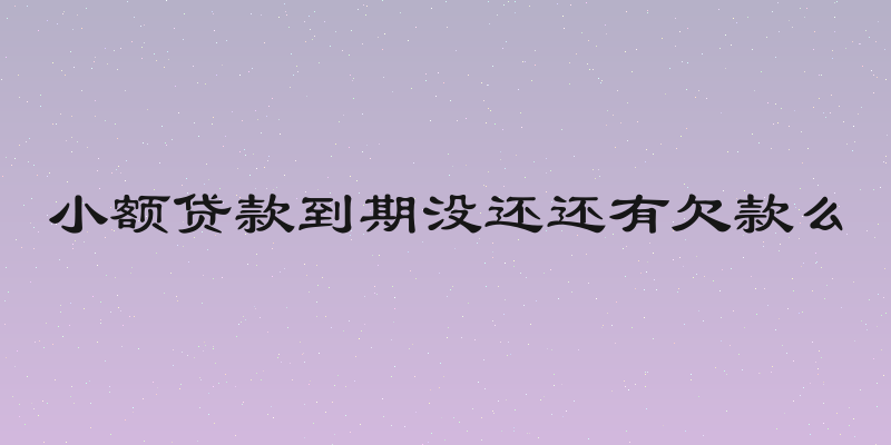 小额贷款到期没还还有欠款么
