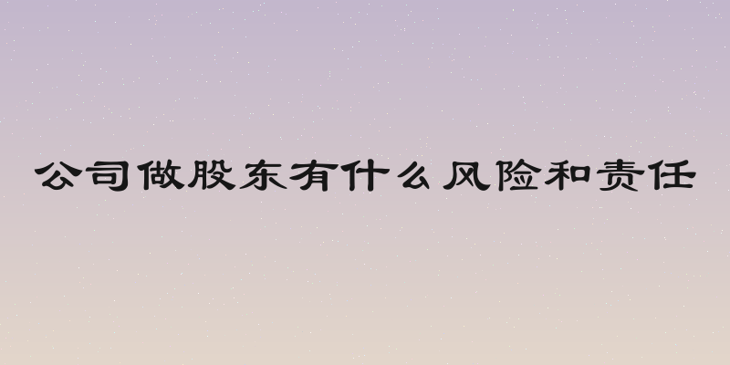 公司做股东有什么风险和责任
