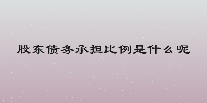 股东债务承担比例是什么呢