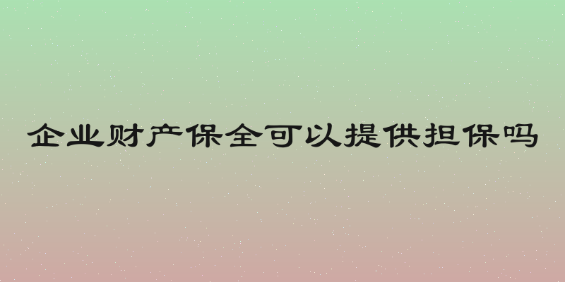 企业财产保全可以提供担保吗