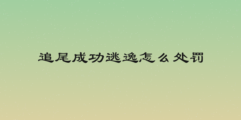 追尾成功逃逸怎么处罚