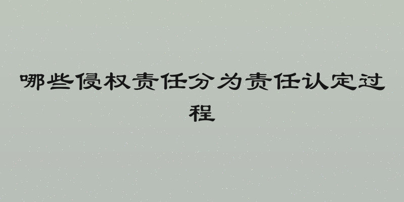 哪些侵权责任分为责任认定过程