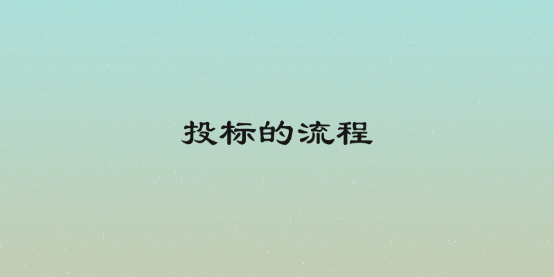 投标的流程