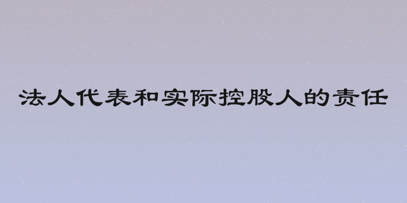 法人代表和实际控股人的责任
