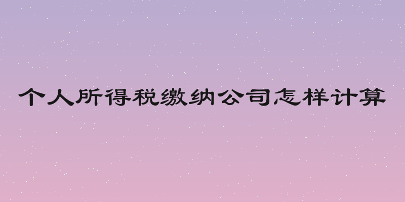 个人所得税缴纳公司怎样计算
