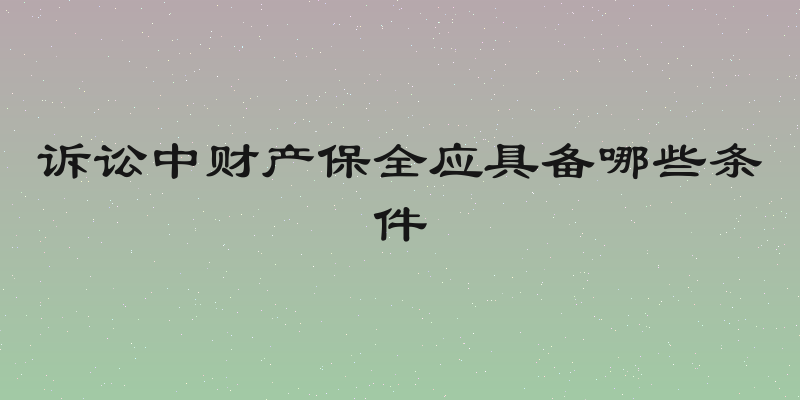 诉讼中财产保全应具备哪些条件