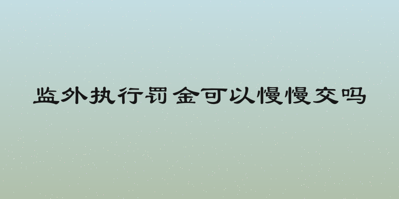 监外执行罚金可以慢慢交吗