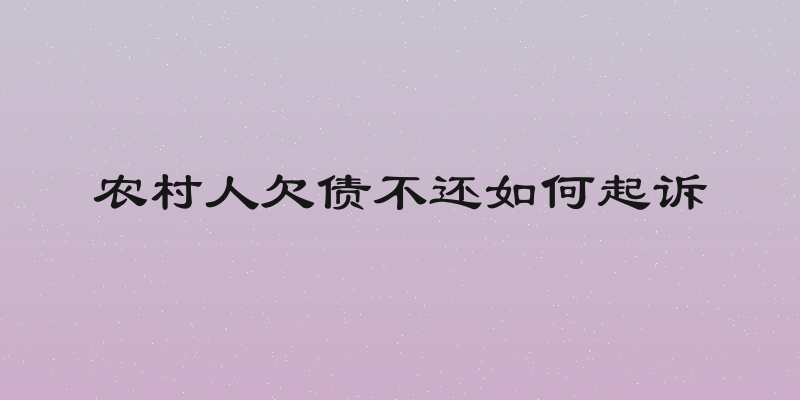 农村人欠债不还如何起诉