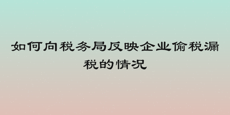 如何向税务局反映企业偷税漏税的情况
