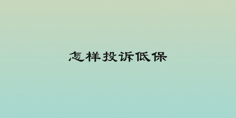 怎样投诉低保