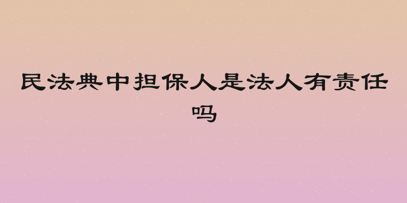 民法典中担保人是法人有责任吗