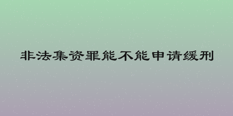 非法集资罪能不能申请缓刑
