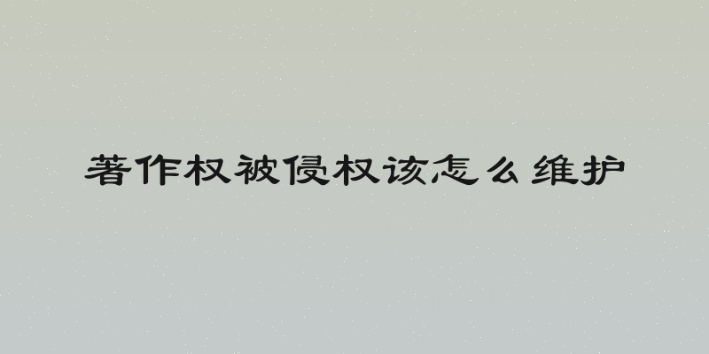 著作权被侵权该怎么维护