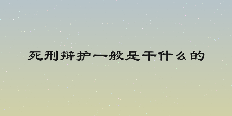 死刑辩护一般是干什么的
