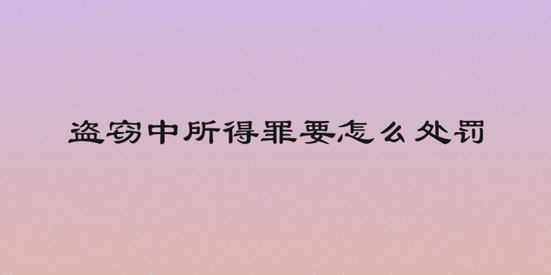 盗窃中所得罪要怎么处罚