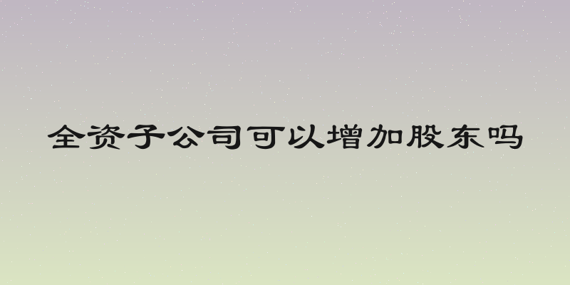 全资子公司可以增加股东吗