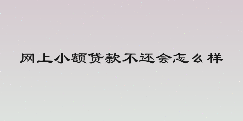 网上小额贷款不还会怎么样