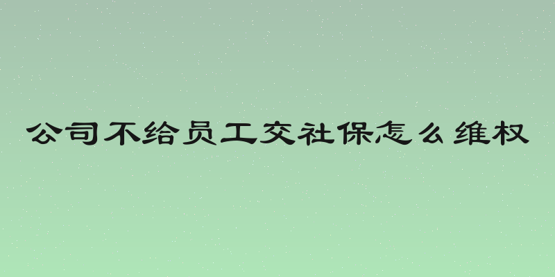 公司不给员工交社保怎么维权
