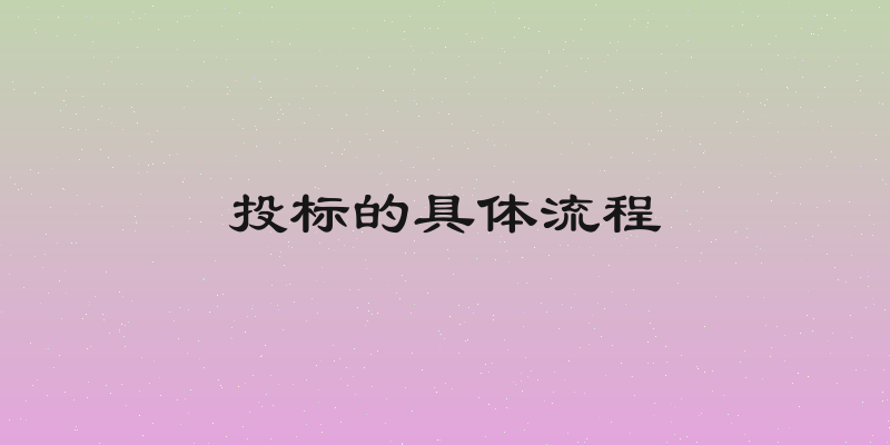 投标的具体流程