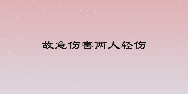 故意伤害两人轻伤