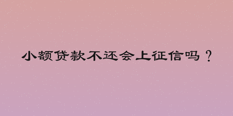 小额贷款不还会上征信吗？