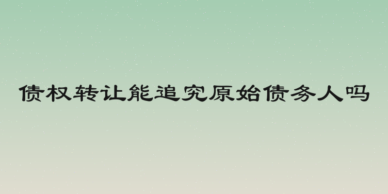 债权转让能追究原始债务人吗