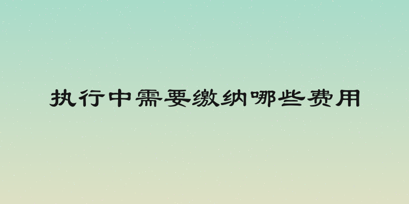 执行中需要缴纳哪些费用