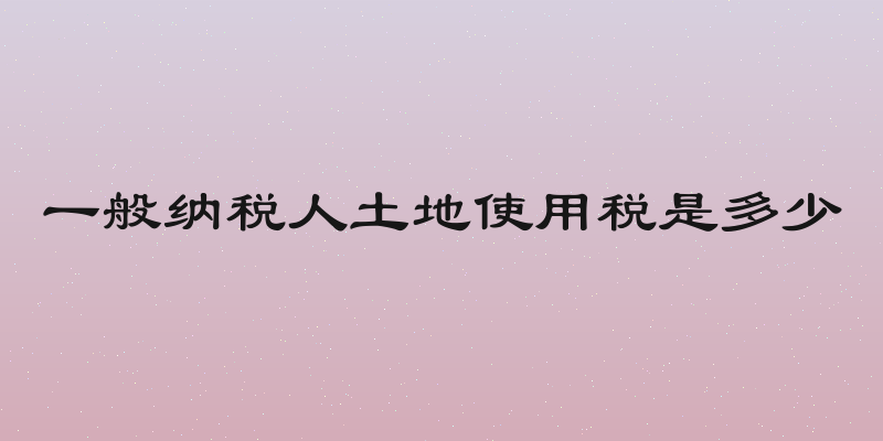 一般纳税人土地使用税是多少