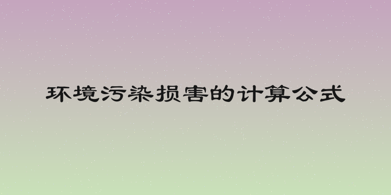 环境污染损害的计算公式