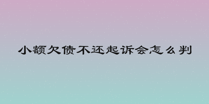 小额欠债不还起诉会怎么判