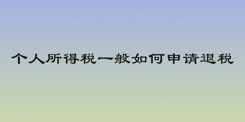 个人所得税一般如何申请退税